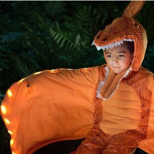Pottery Barn Light Up Pterodactyl Halloween Costume